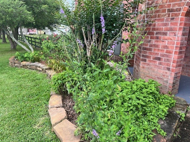 6610 Sprigg Street Fulshear, TX 77441 - Photo 39 of 41 a view of a yard with plants