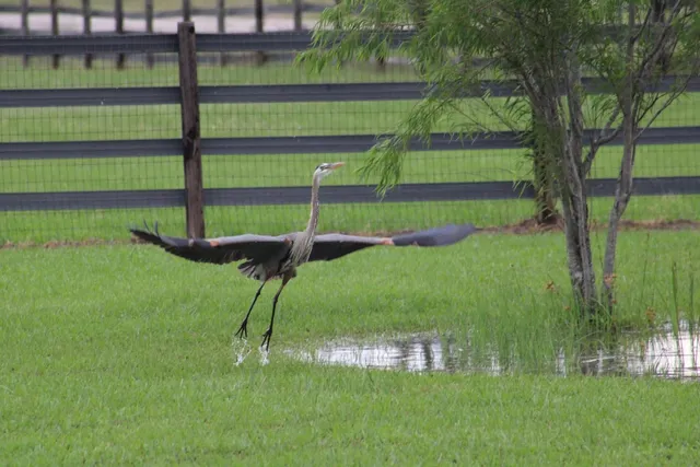 $989,000 | 6610 Sprigg Street, Fulshear, TX 77441