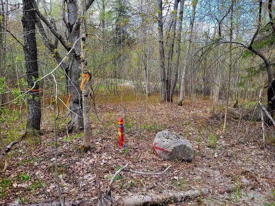 Lot 88 Porter Nadeau Road Eustis, ME 04936 - Photo 22 of 26 346126178_1390757861723984_8687806638953
