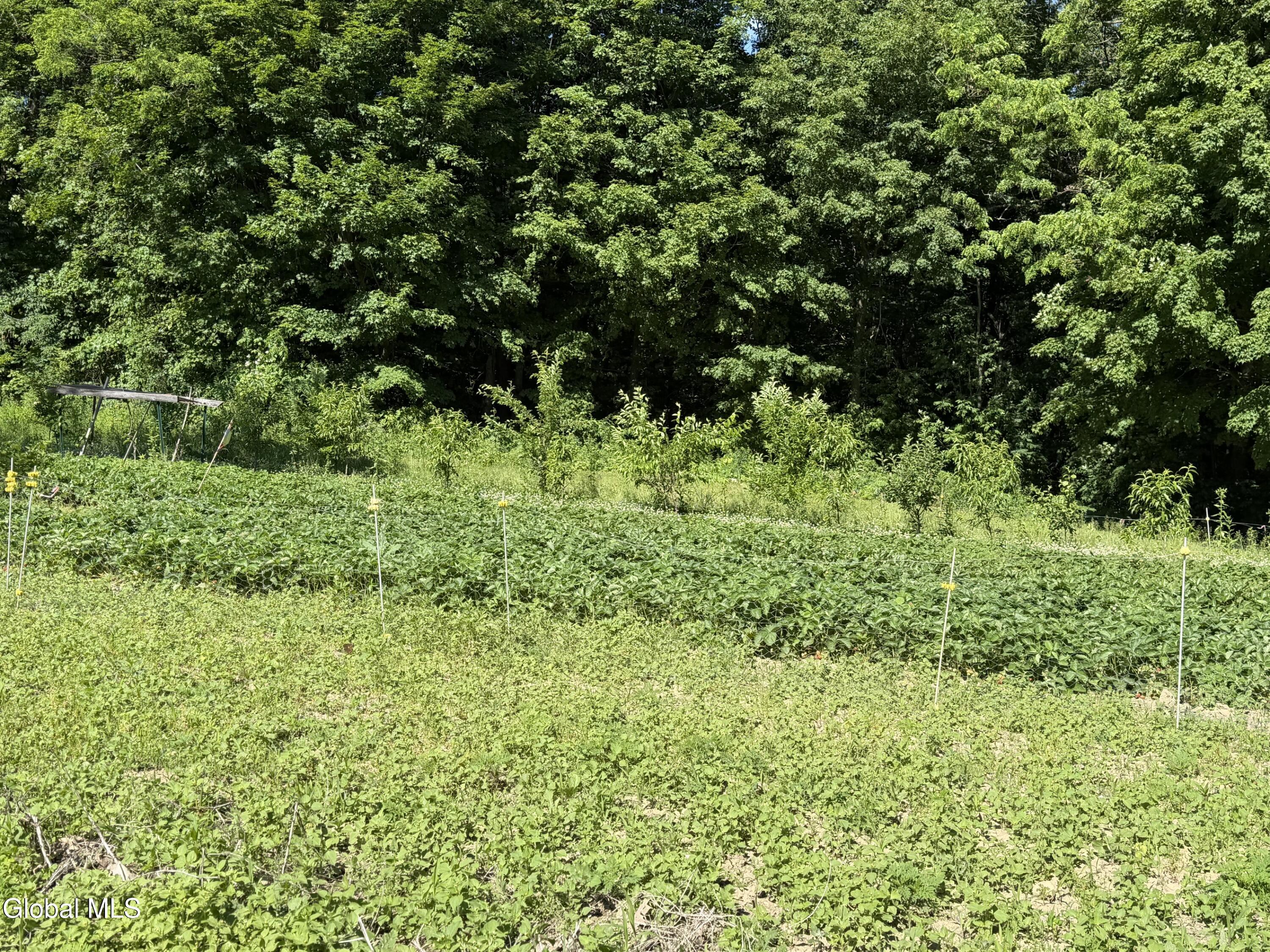 2056 Creek Road Crown Point, NY 12928 - Photo 44 of 49 e989288d-4df4-450d-9980-24bcf71f754f