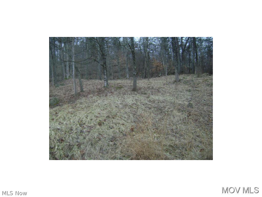 2028 Parkersburg Road Ripley, WV 25271 - Photo 15 of 20
