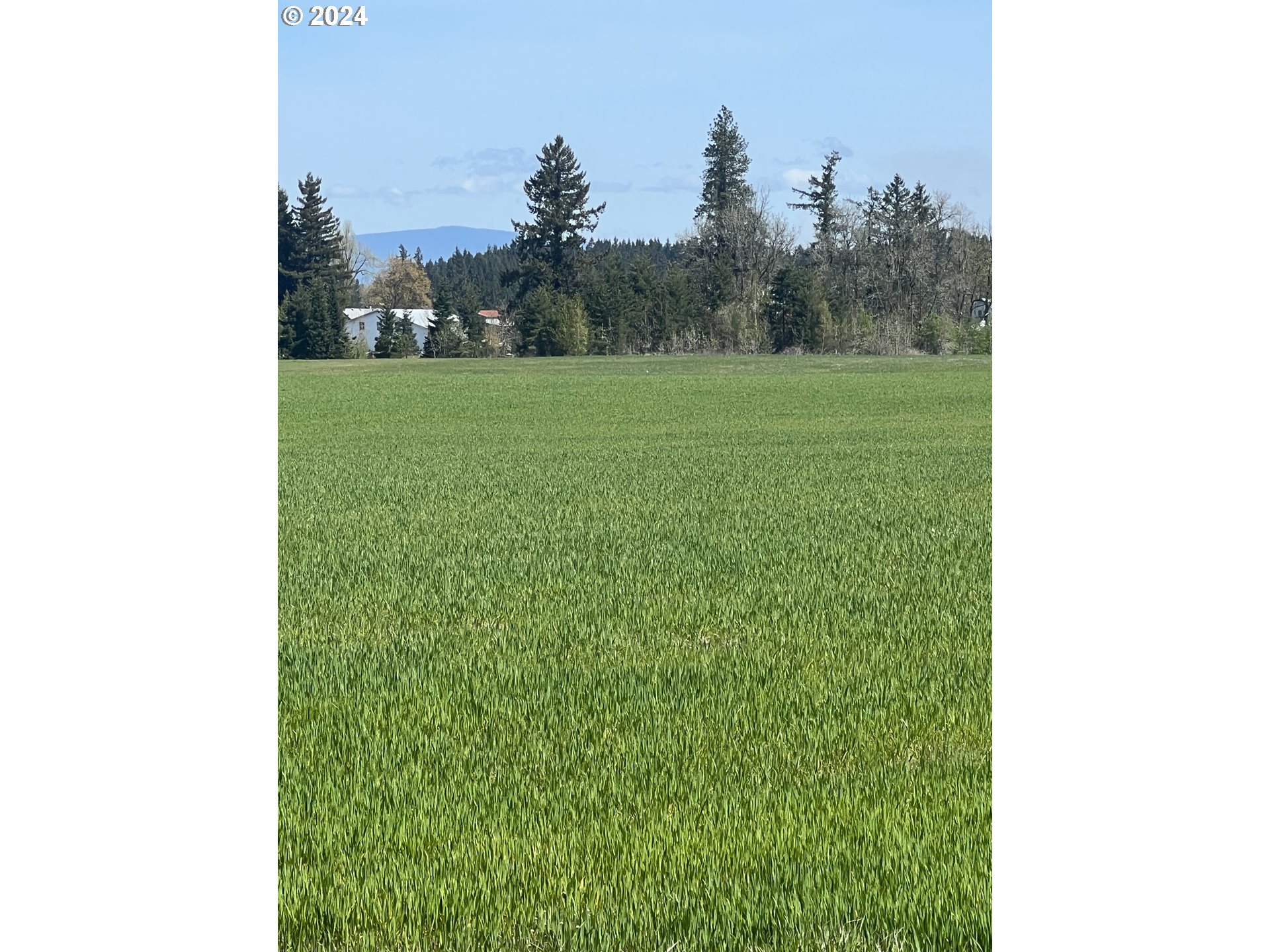 0 South Deininger Road Oregon City, OR 97045 - Photo 3 of 3 a view of a green field