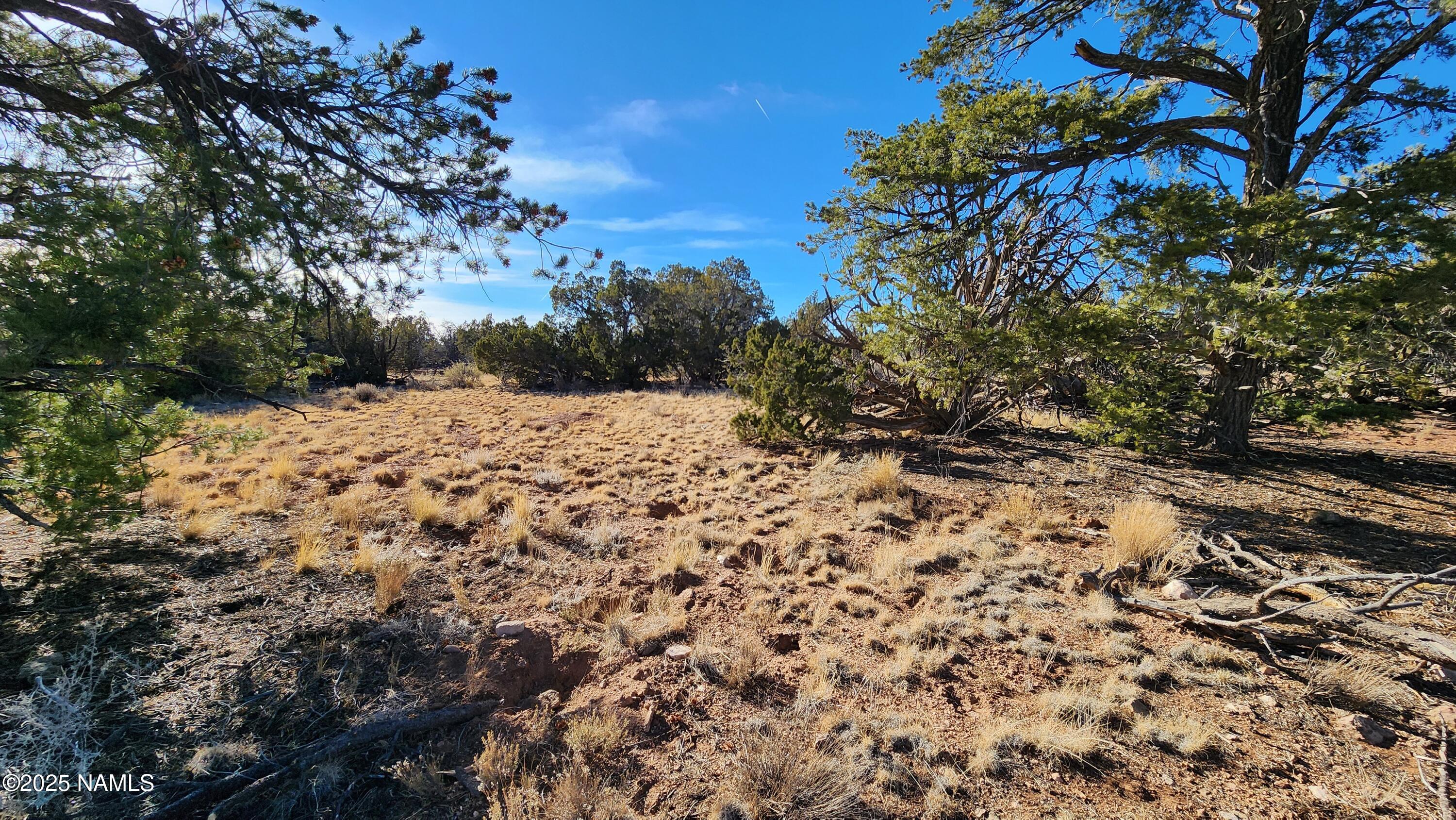 5535 Red Butte Road Williams, AZ 86046 - Photo 18 of 40 1000024114