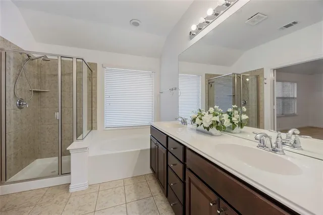 a bathroom with a double vanity sink a large mirror a bathtub and shower