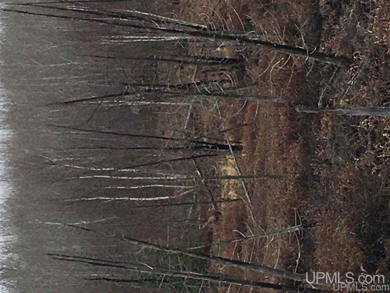 Off Off Co Road Republic, MI 49879 - Photo 6 of 9