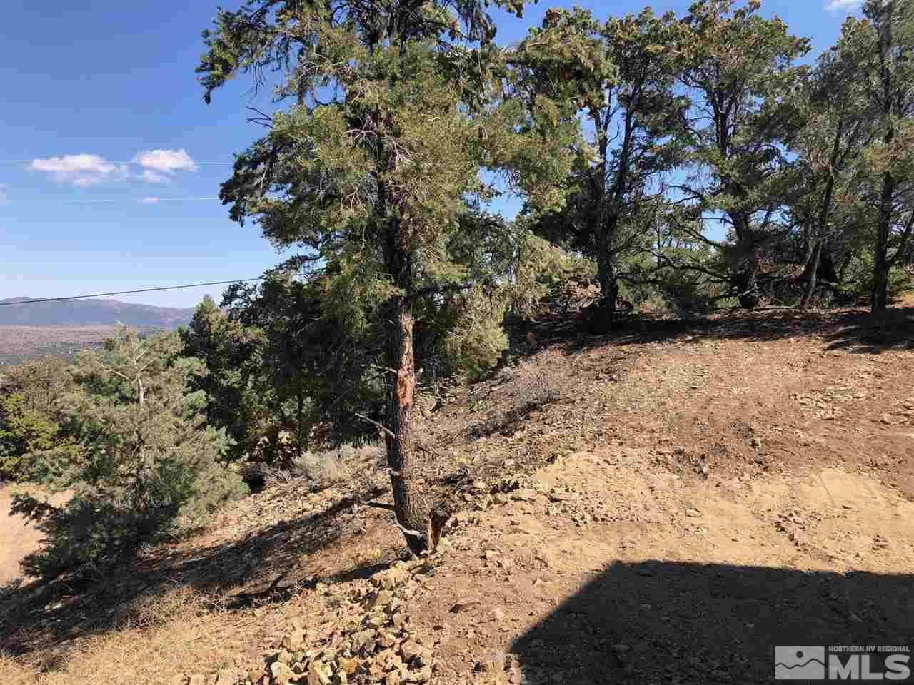 21445 Saddleback Road Reno, NV 89521 - Photo 18 of 21 Photo 18