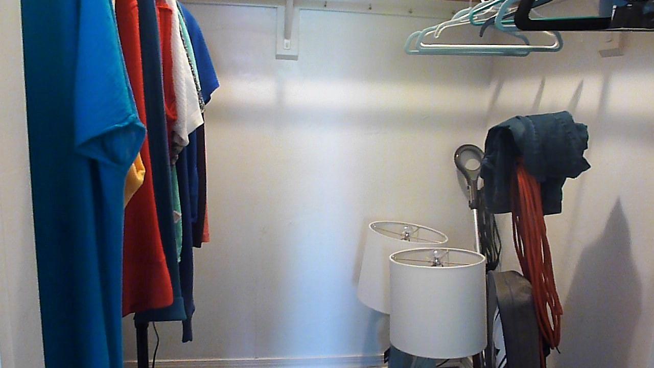 113 Burning Tree Lane Boca Raton, FL 33431 - Photo 13 of 22 MASTER WALK-IN CLOSET