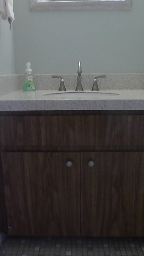 113 Burning Tree Lane Boca Raton, FL 33431 - Photo 17 of 22 UPGRADED BATHROOM