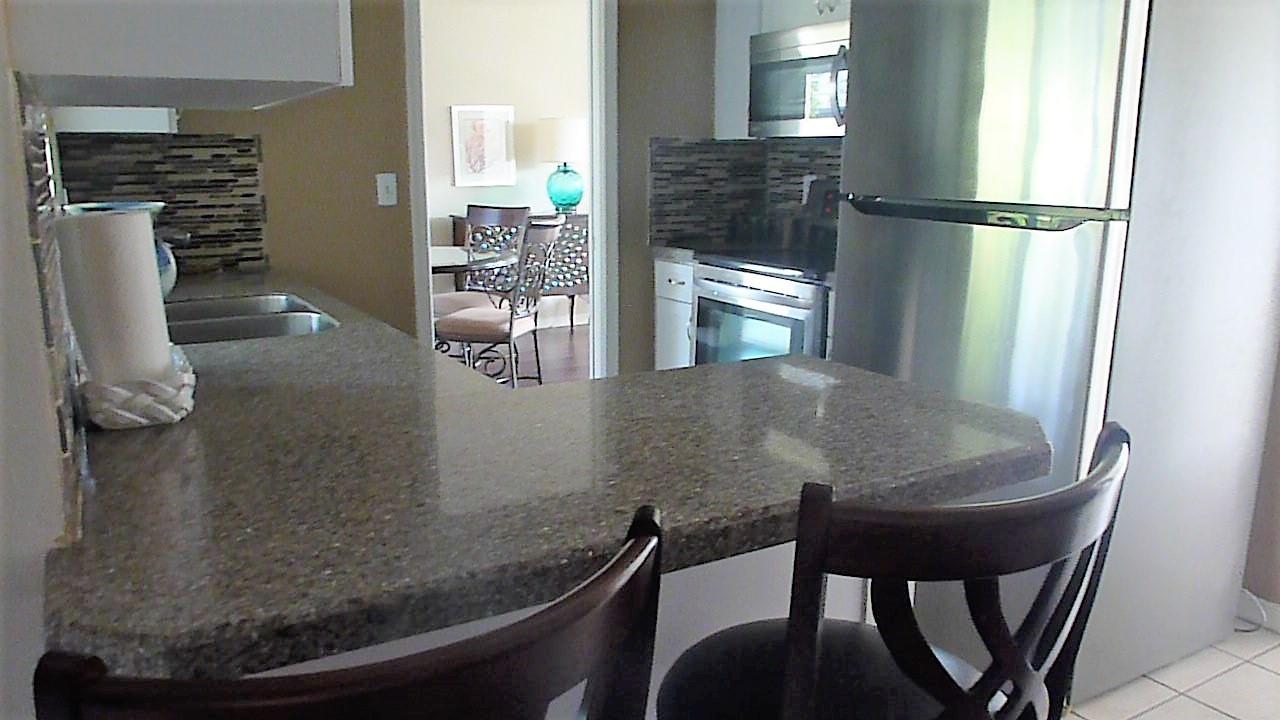 113 Burning Tree Lane Boca Raton, FL 33431 - Photo 7 of 22 KITCHEN BAR AREA