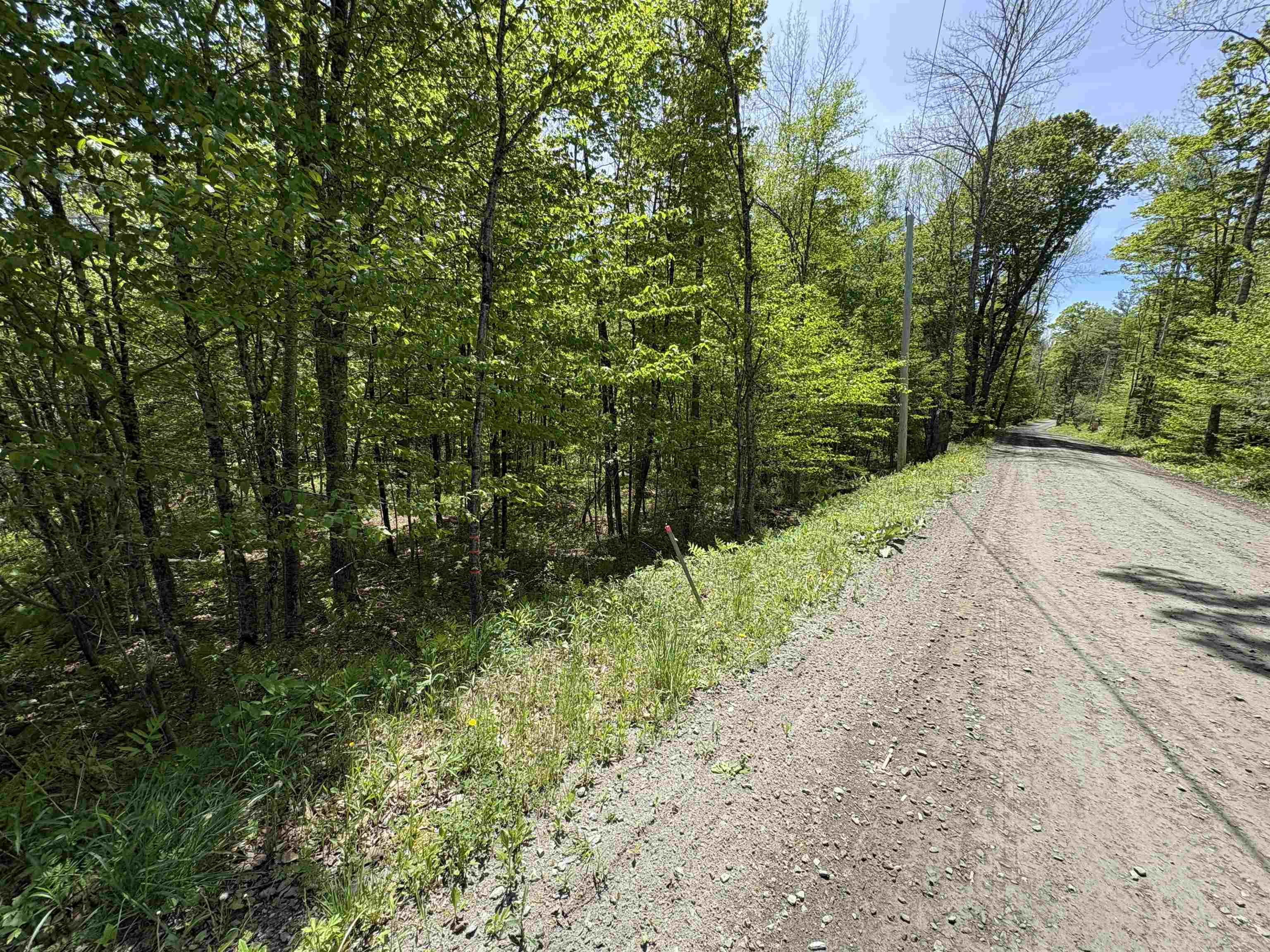 0 Bear Hill Road Randolph, VT 05060 - Photo 15 of 15