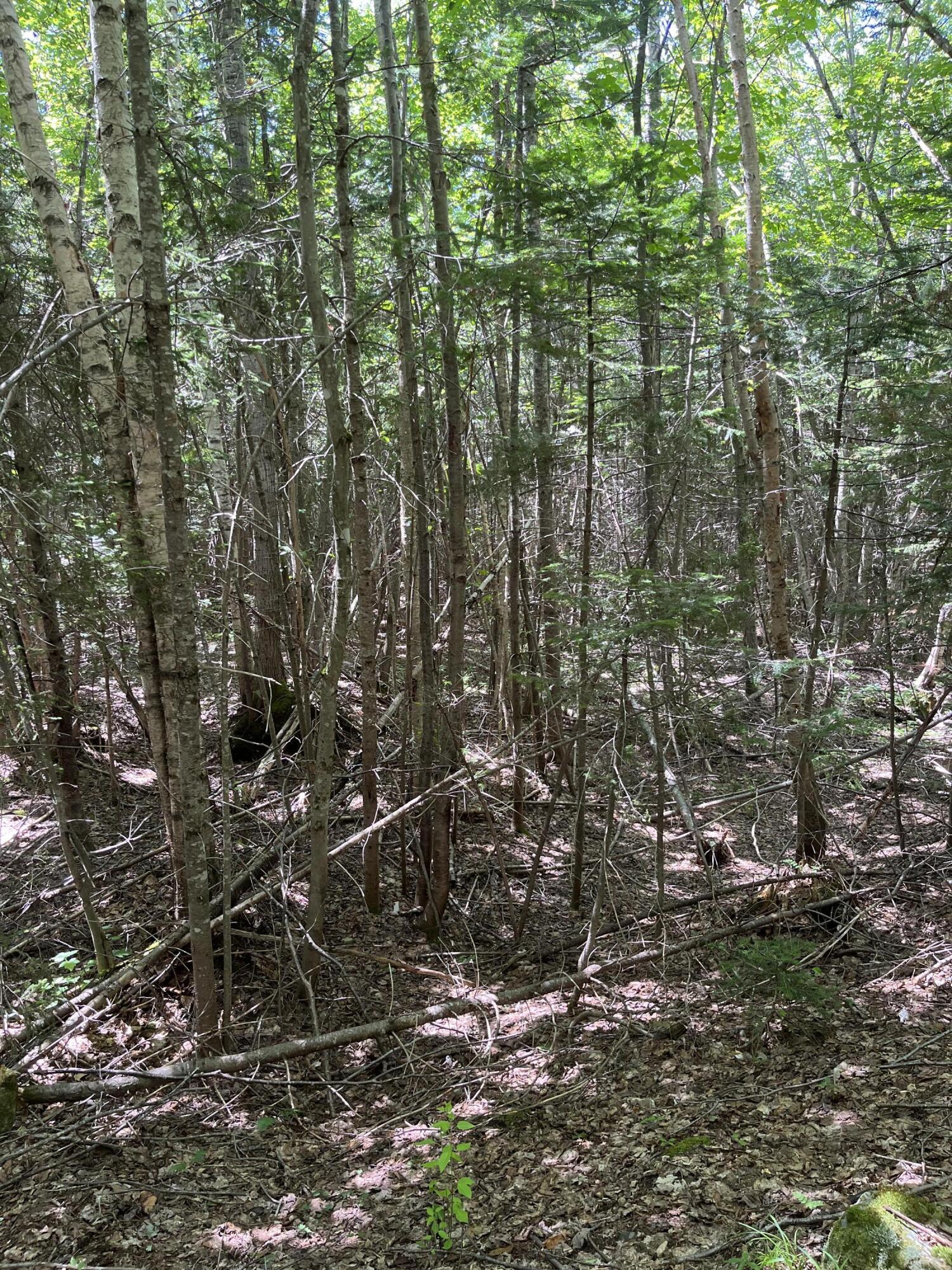 48 Ermine Road Sandy River Plt, ME 04970 - Photo 5 of 12 9CFD2747-B90E-4C39-8C7F-7C3DEBBFCF2C