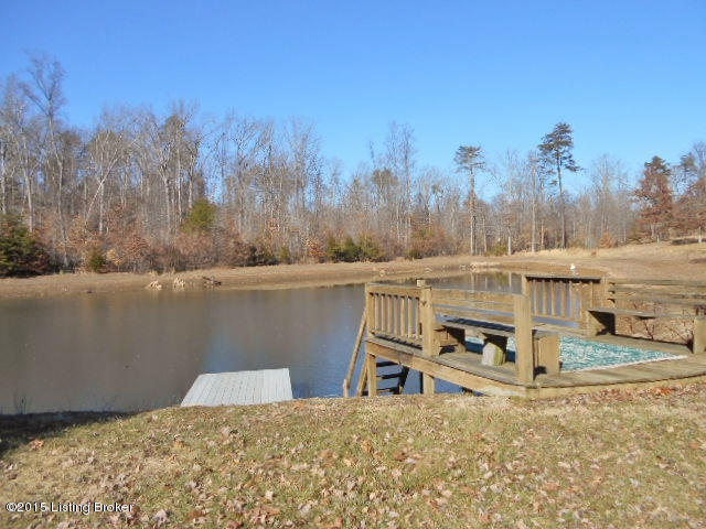 3200 Patton Road Boston, KY 40107 - Photo 28 of 36 Wonderful dock on water