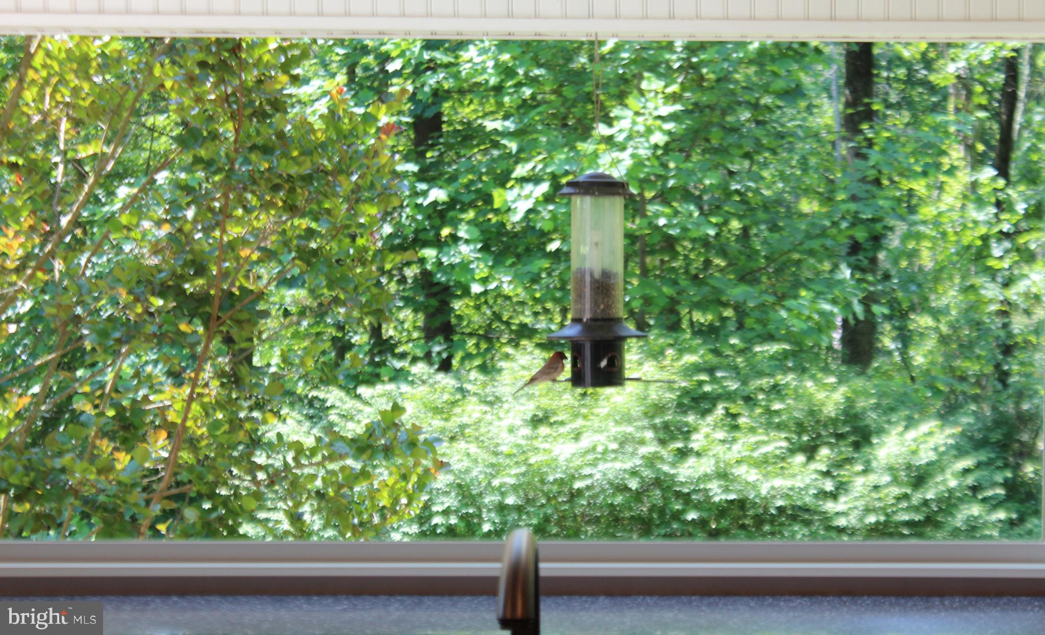 178 Shed Road Douglassville, PA 19518 - Photo 18 of 58 a close up of a plant in a yard