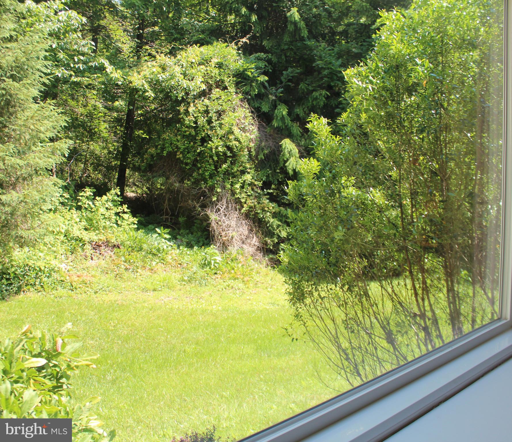 178 Shed Road Douglassville, PA 19518 - Photo 35 of 58 a view of a garden from a window