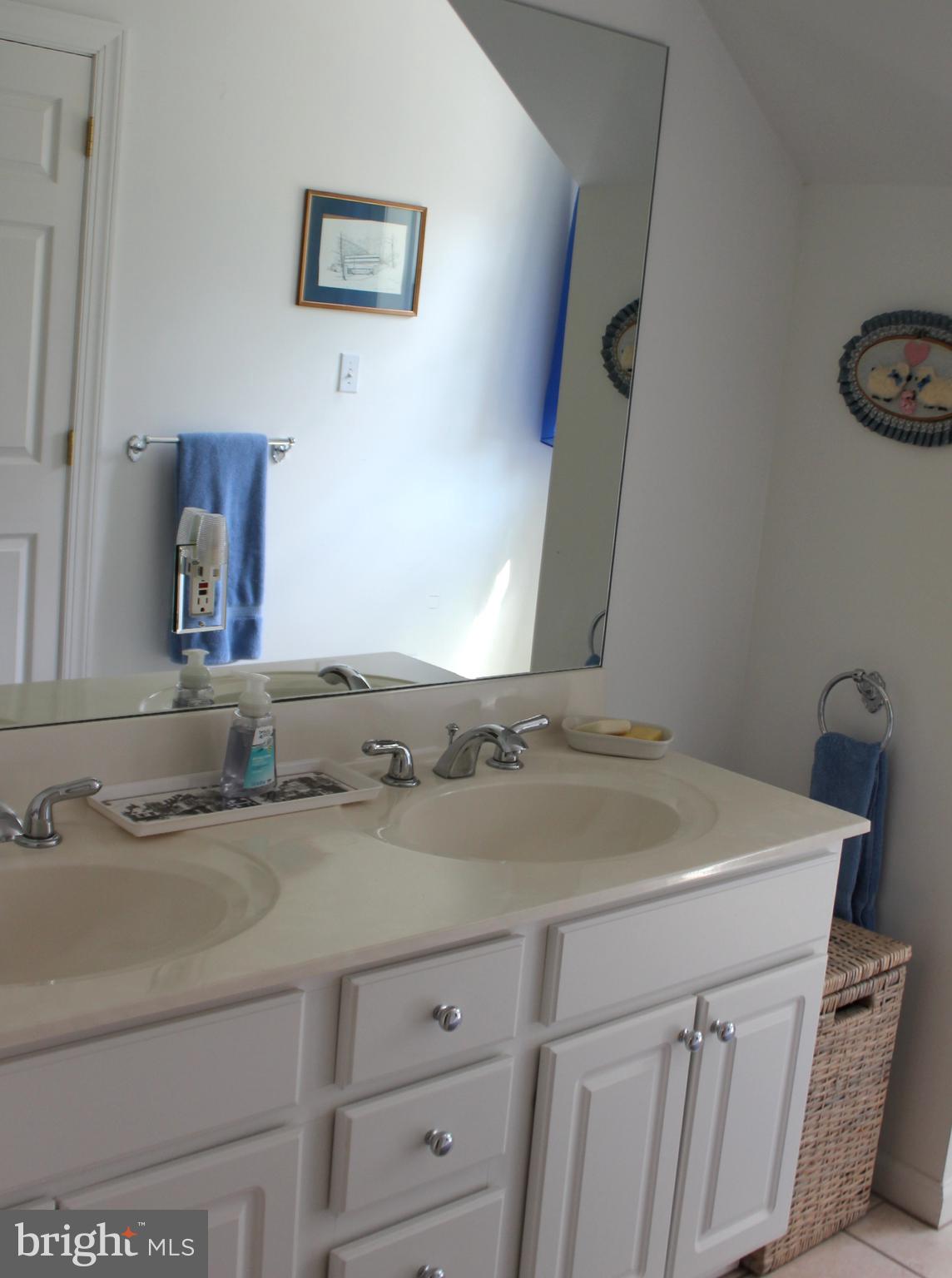 178 Shed Road Douglassville, PA 19518 - Photo 54 of 58 a bathroom with a sink and a mirror