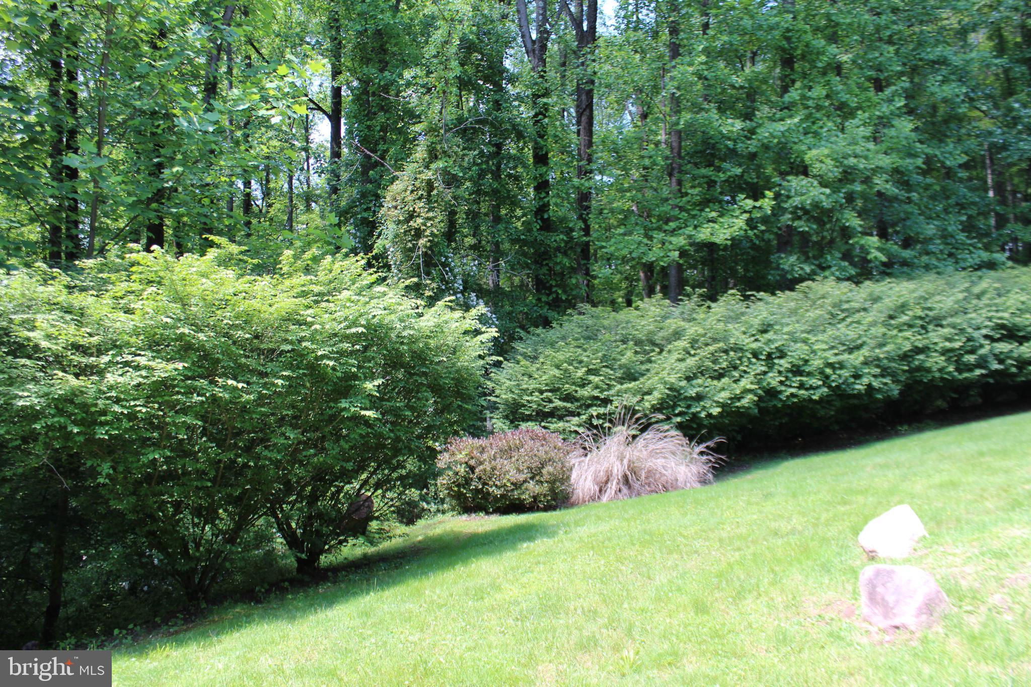 178 Shed Road Douglassville, PA 19518 - Photo 57 of 58 a backyard of a house with lots of green space and garden