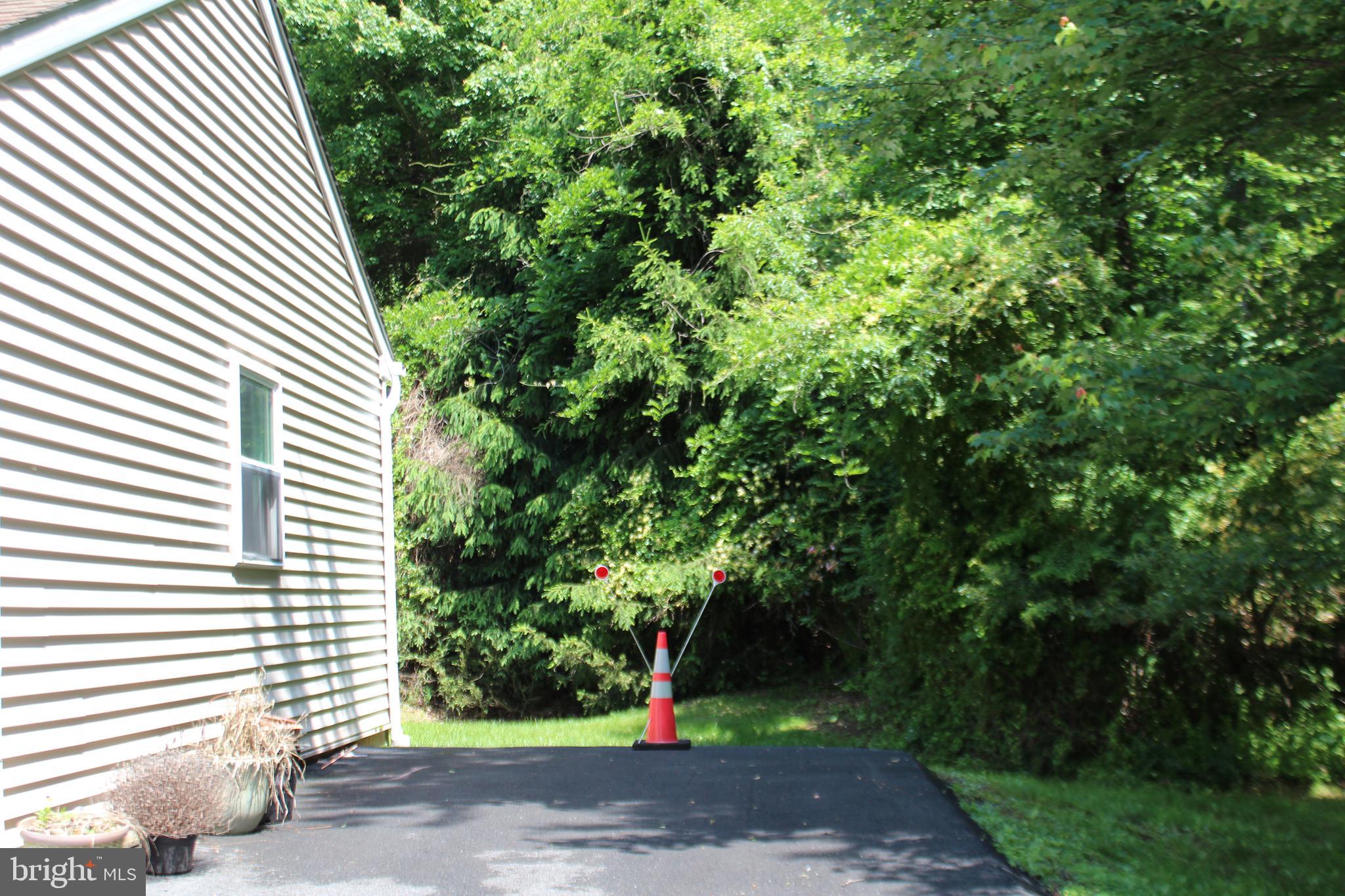 178 Shed Road Douglassville, PA 19518 - Photo 58 of 58 a street view with tall trees