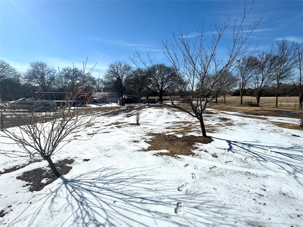205 County Road 1135 Ravenna, TX 75476 - Photo 7 of 30 Fruit trees