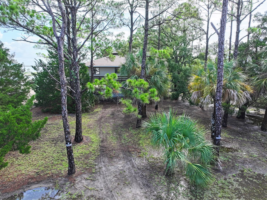 319 Gander Street Eastpoint, FL 32328 - Photo 43 of 52