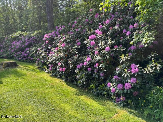 4 Birch Hill Road Peru, MA 01235 - Photo 50 of 54 beautiful border