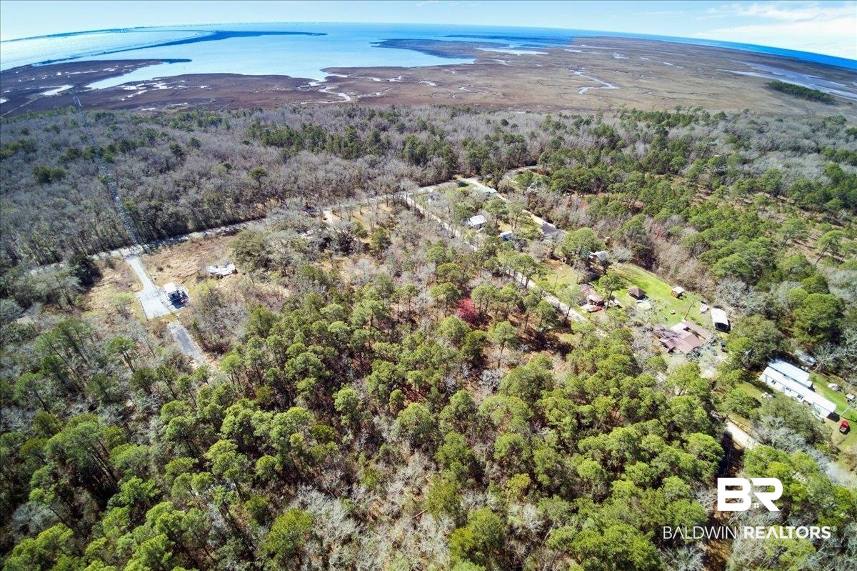 16045 Williams Street Coden, AL 36523 - Photo 15 of 15 Drone / aerial view with a water view and a wooded view