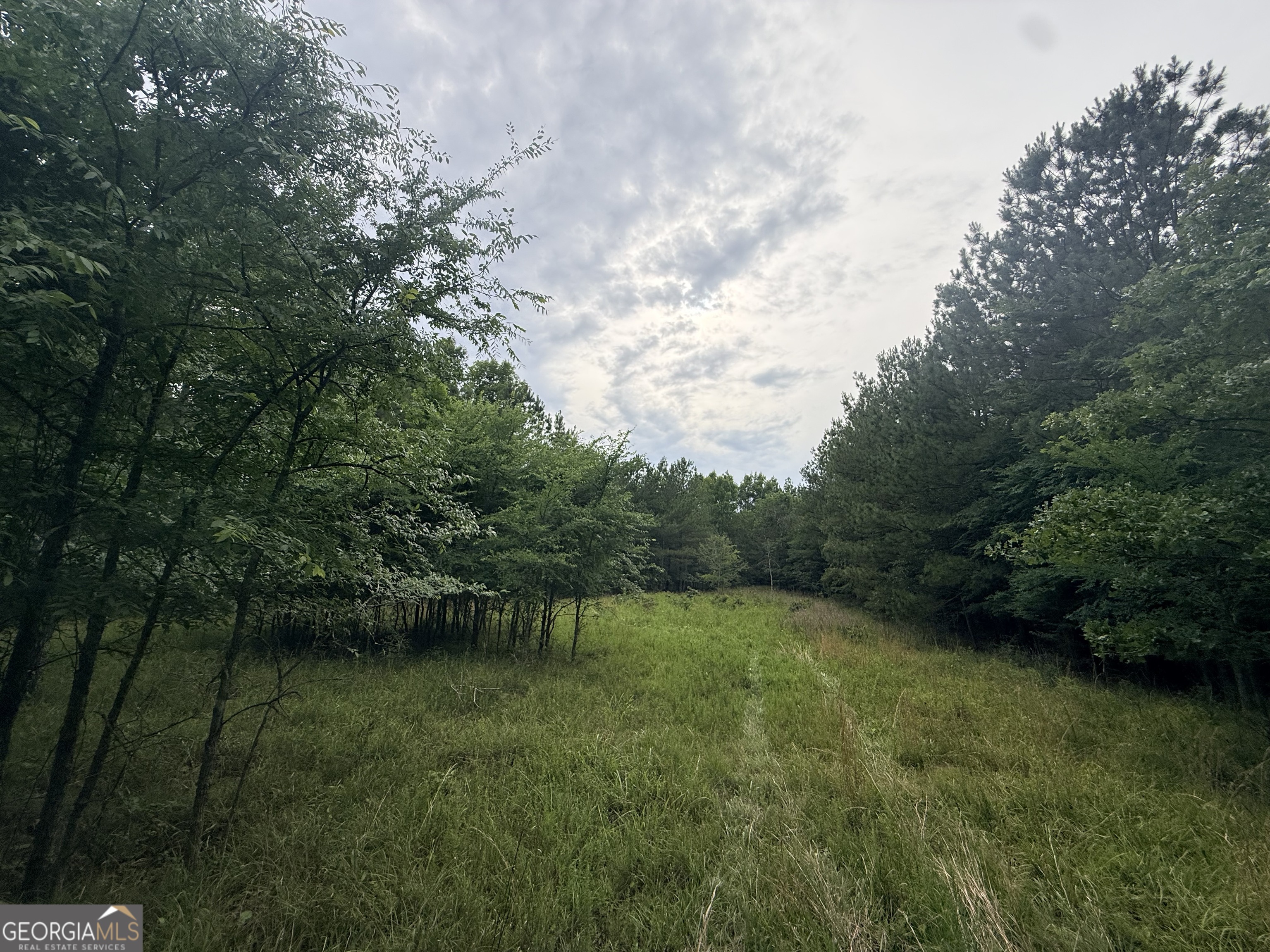 2 Bethesda Church Road Lexington, GA 30648 - Photo 4 of 66