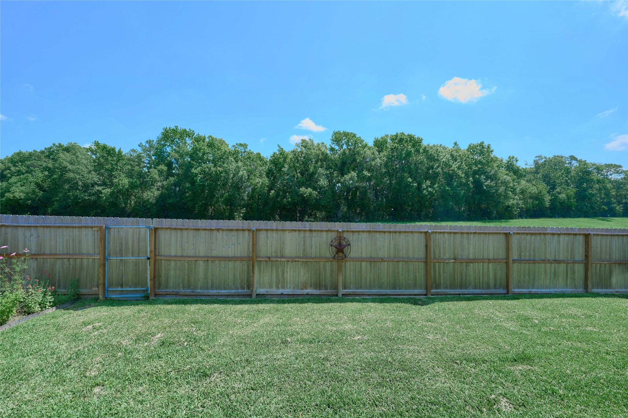 28322 Madelin Manor Lane Spring, TX 77386 - Photo 41 of 46 a view of a backyard