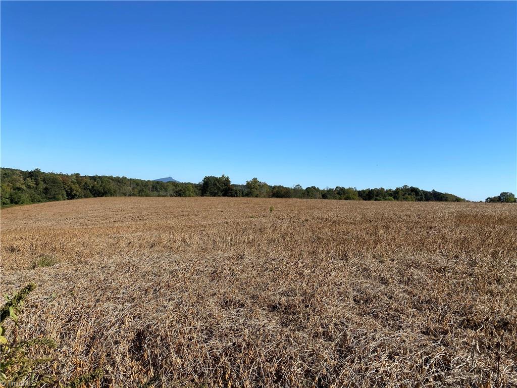 0 Copeland School Road Dobson, NC 27017 - Photo 23 of 25 Gallery Image 23
