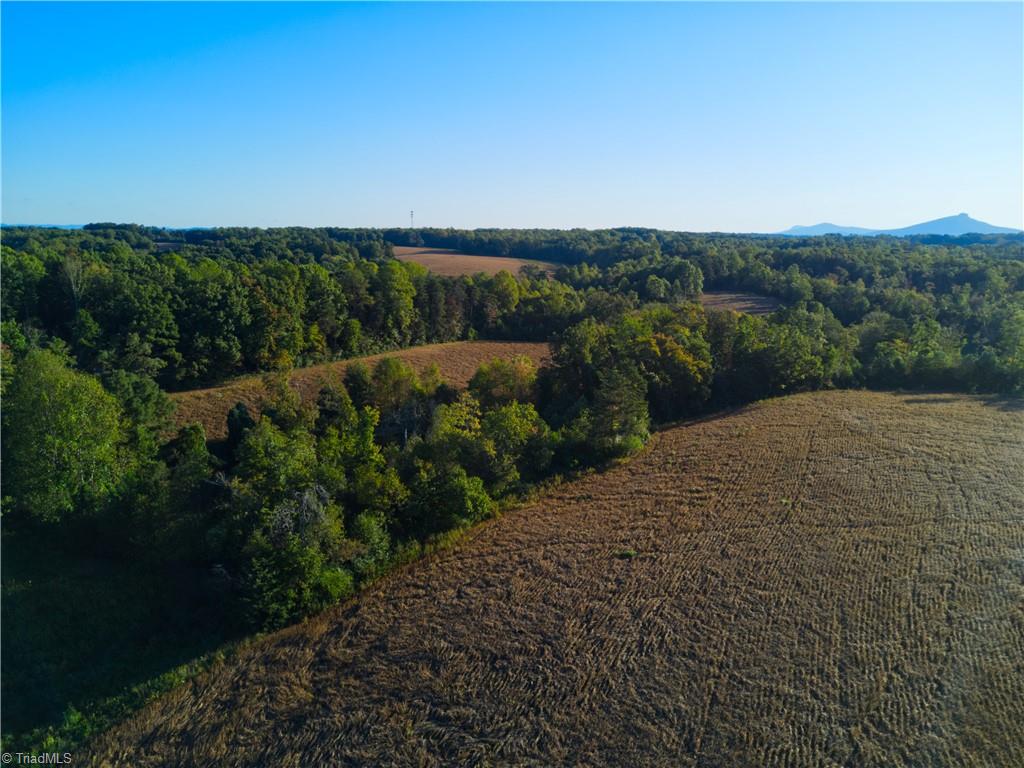 0 Copeland School Road Dobson, NC 27017 - Photo 10 of 25 Gallery Image 10