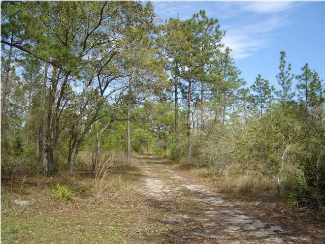 2230 McCall Bridge Road, Unit LOT 4 Quincy, FL 32351 - Photo 1 of 1