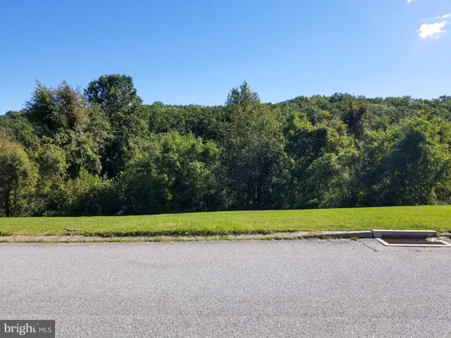 a view of a yard with a garden