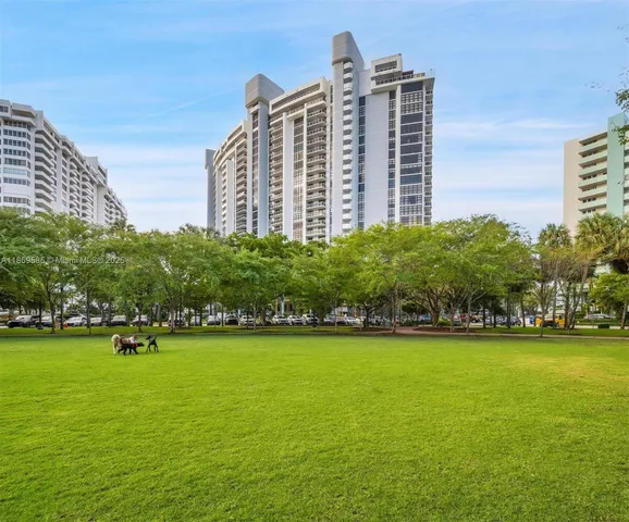 a view of a park with large trees