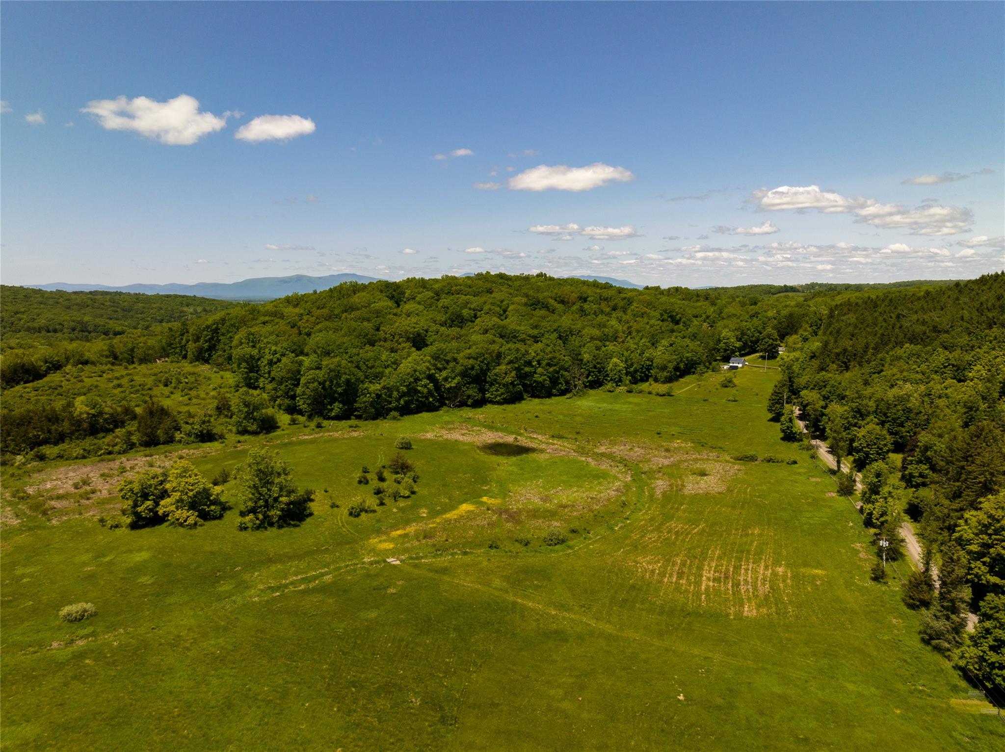 Rowe Road Red Hook, NY 12571 - Photo 2 of 4 Drone / aerial view featuring a wooded view