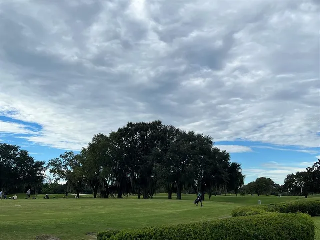 a view of a big yard with large trees