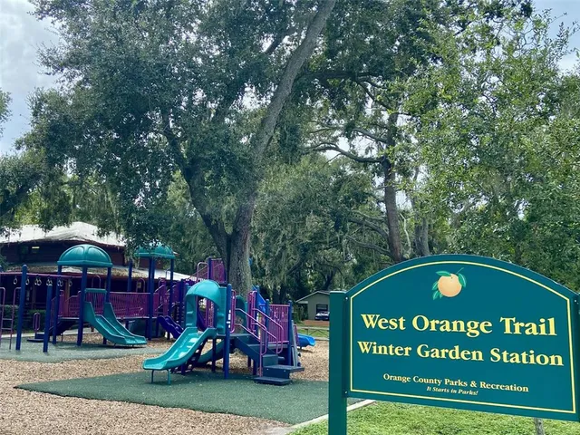 a view of a park with large trees and plants