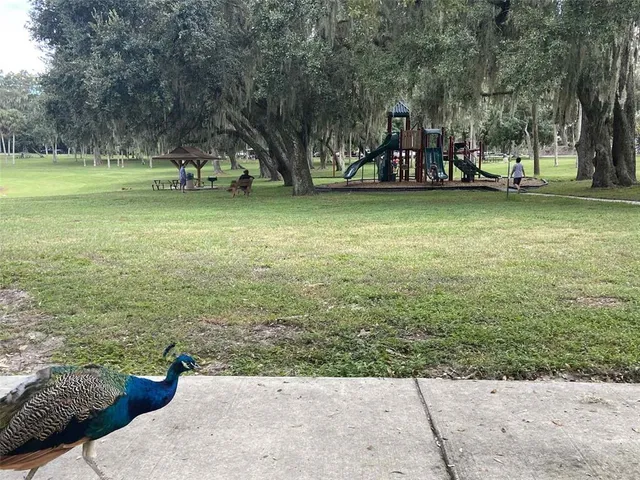 $315,000 | 2009 Adair Street, Ocoee, FL 34761