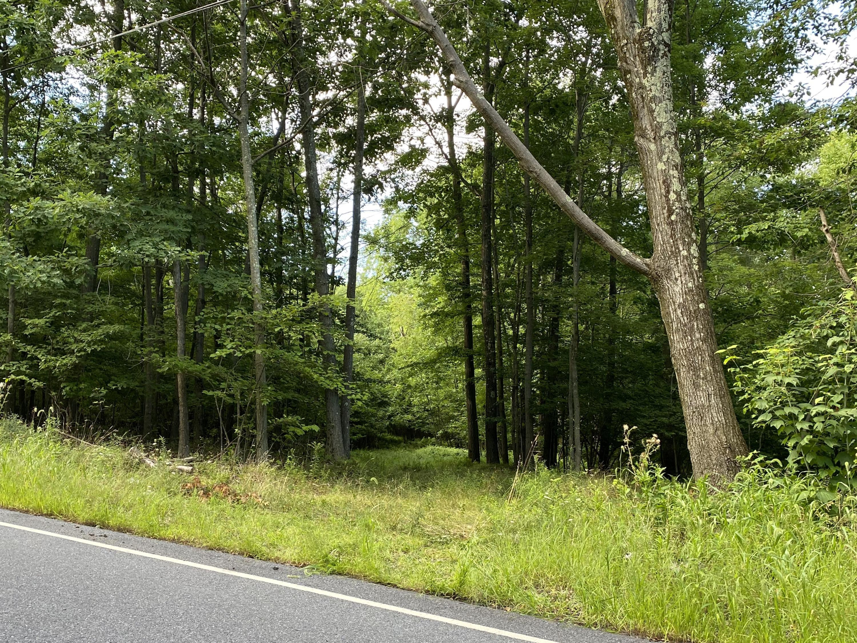 Mountain Road Lake Ariel, PA 18436 - Photo 1 of 12