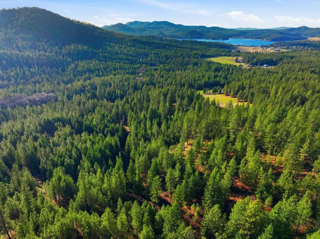 $120,000 | 4104 Ali Vista Way, Loon Lake, WA 99148