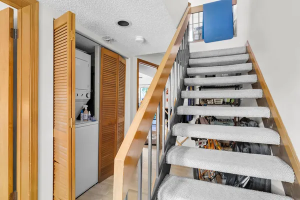 view of backyard with a potted plant