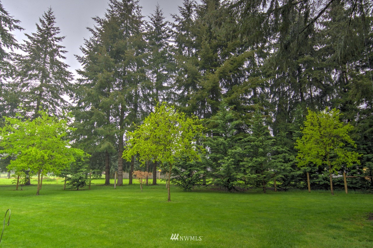 18101 Canaday Lane Southwest Rochester, WA 98579 - Photo 24 of 32 a view of a trees with a big yard