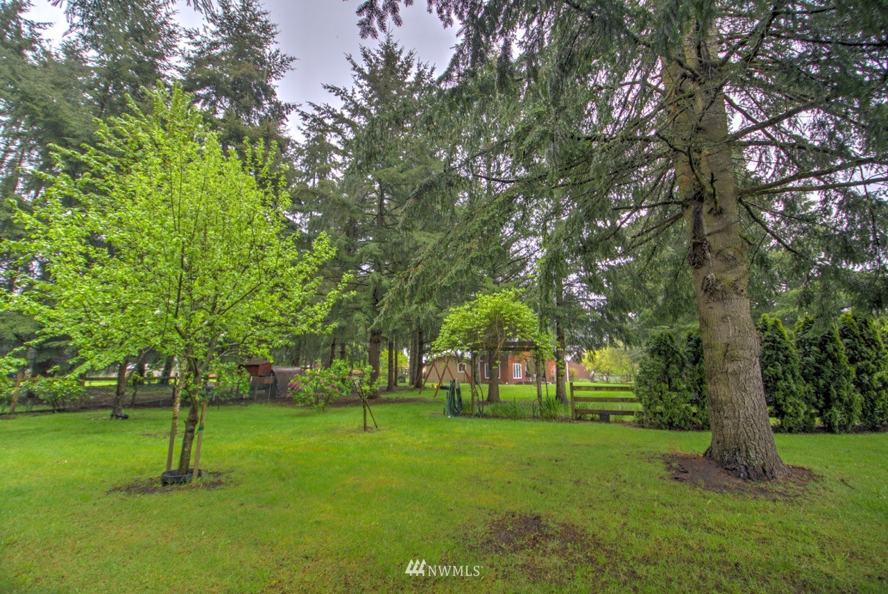 18101 Canaday Lane Southwest Rochester, WA 98579 - Photo 25 of 32 a view of green field with trees