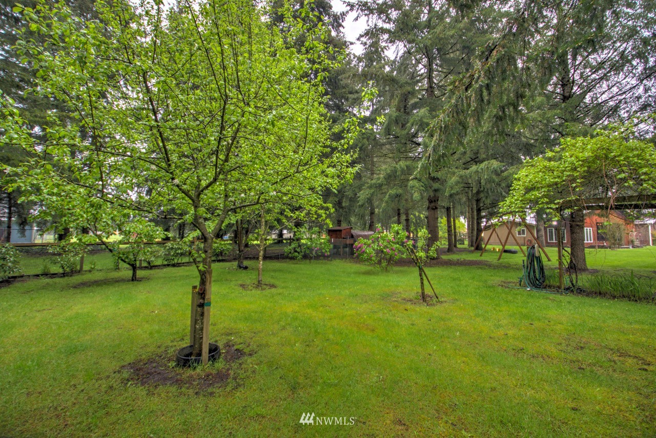 18101 Canaday Lane Southwest Rochester, WA 98579 - Photo 26 of 32 a park with lots of green space and trees