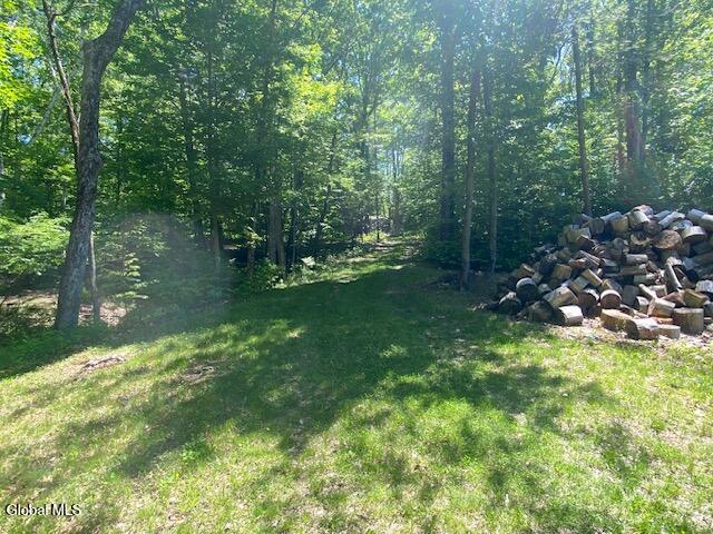 45 Weaver Dam Road Petersburgh, NY 12138 - Photo 14 of 21 IMG_5989