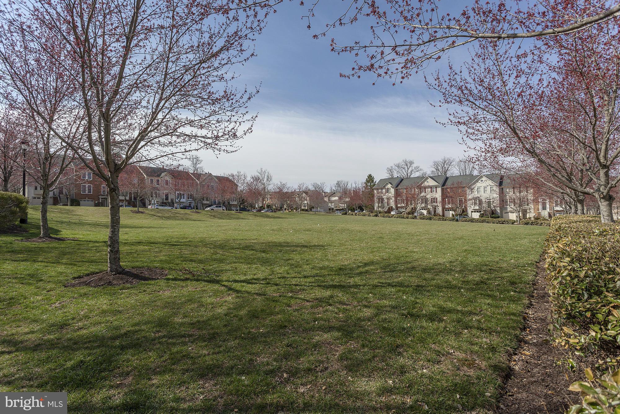 3504 Hammerstone Road Laurel, MD 20724 - Photo 26 of 30 a view of a field with trees