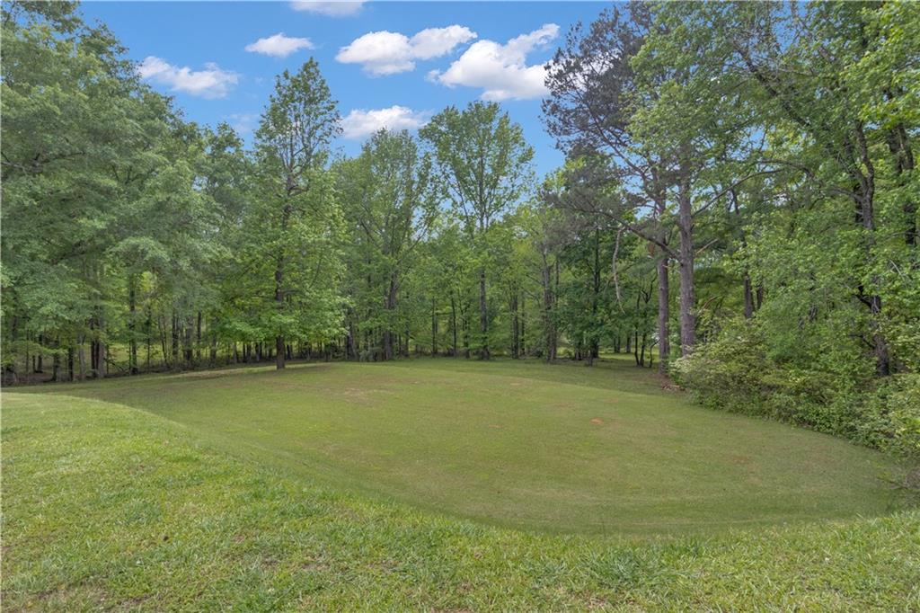 14501 Woolsey Road Hampton, GA 30228 - Photo 137 of 143 a view of a field with trees in the background