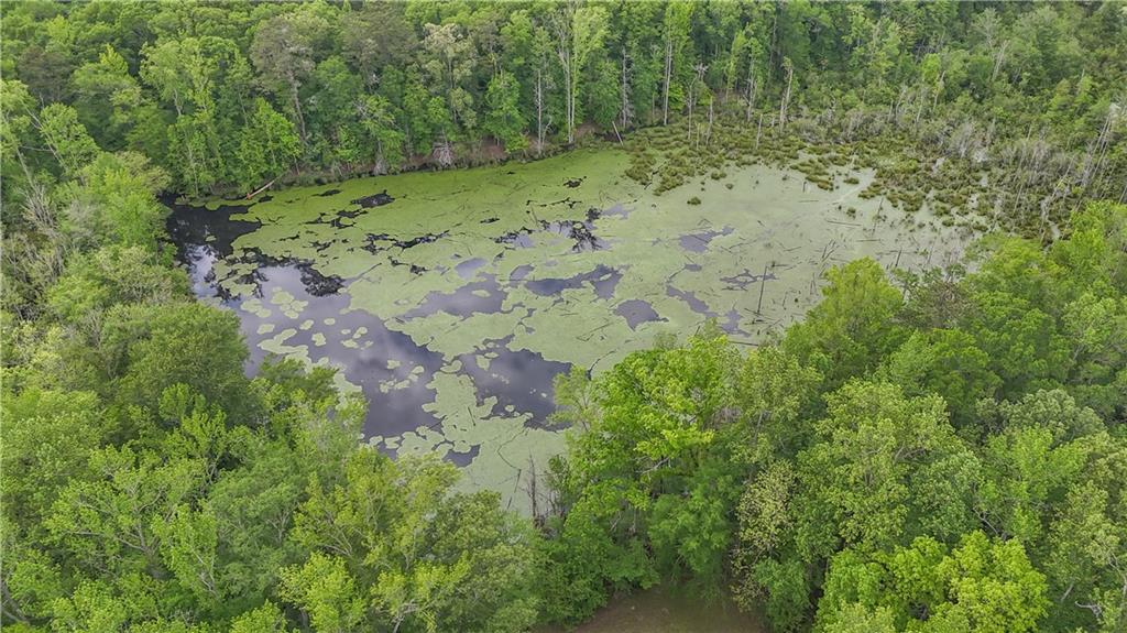 14501 Woolsey Road Hampton, GA 30228 - Photo 138 of 143