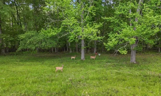 $11,500,000 | 14501 Woolsey Road, Hampton, GA 30228