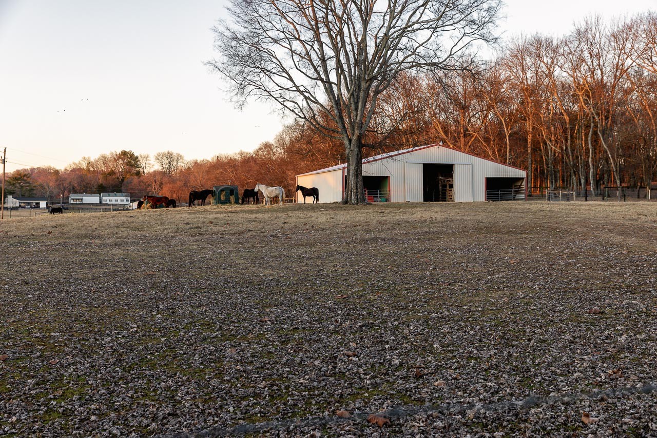 4832 Murfreesboro Road Arrington, TN 37014 - Photo 37 of 70 a front view of a house with a yard and trees