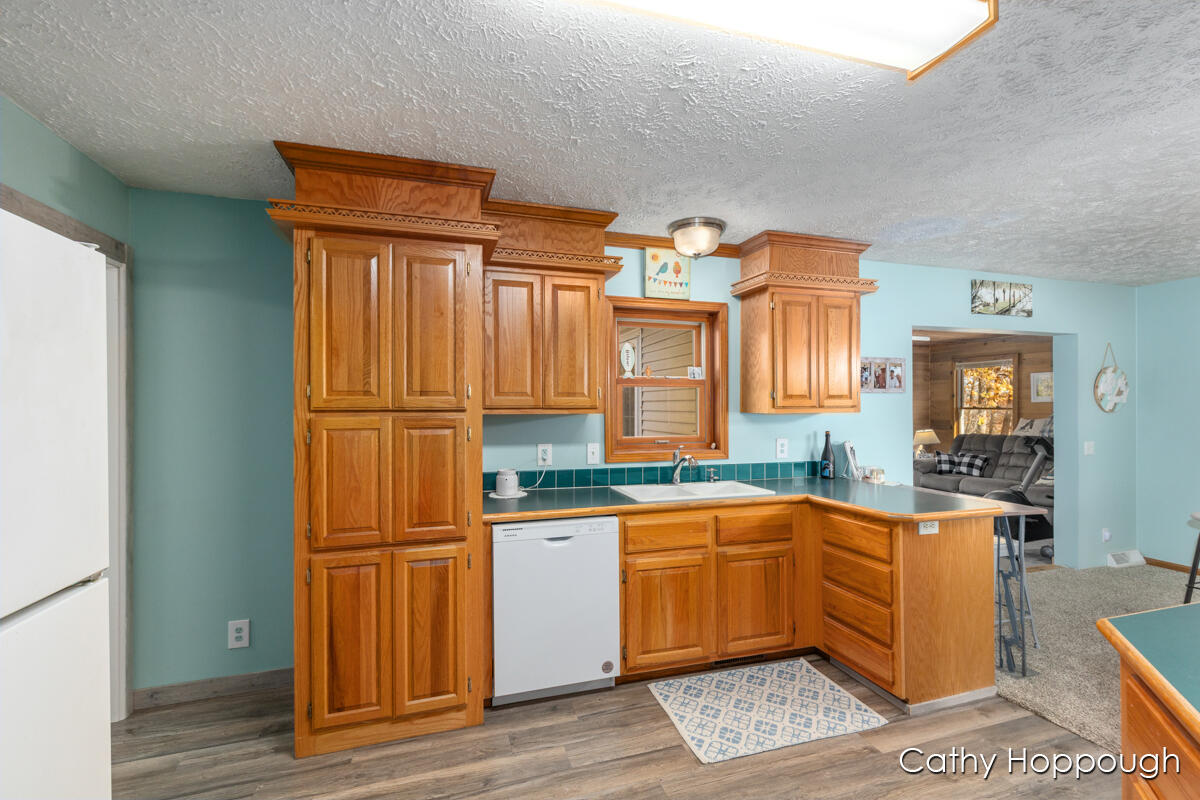 3494 Bradford Road Ionia, MI 48846 - Photo 13 of 48