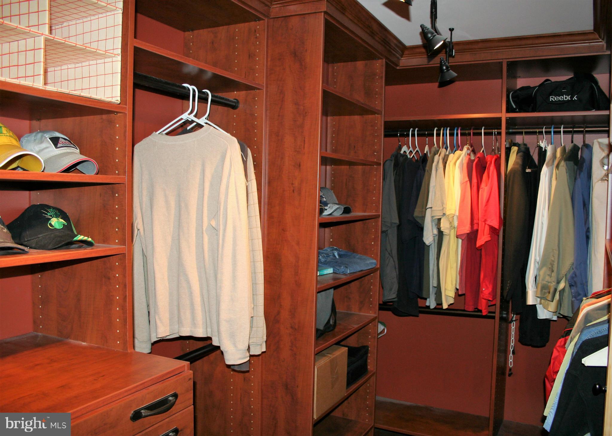10238 Brighton Ridge Way, Unit 107 Columbia, MD 21044 - Photo 14 of 28 Master Walk-in Closet